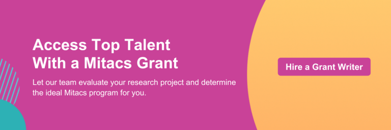 Hire a Grant Writer